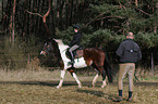 rider at lunge
