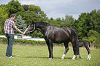 mare with foal