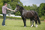 mare with foal