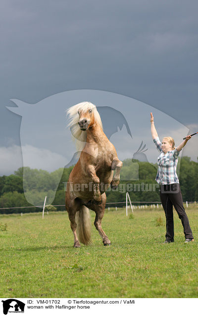 Frau mit Haflinger / woman with Haflinger horse / VM-01702
