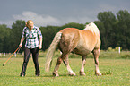 woman with Haflinger horse