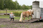 woman with Haflinger horse