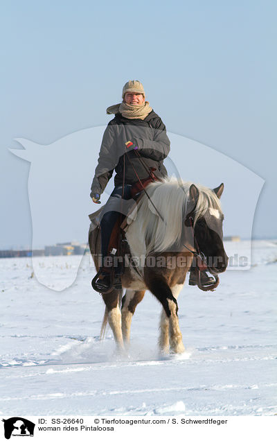 Frau reitet Pintaloosa / woman rides Pintaloosa / SS-26640