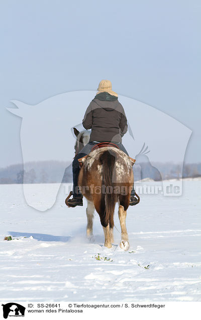 Frau reitet Pintaloosa / woman rides Pintaloosa / SS-26641