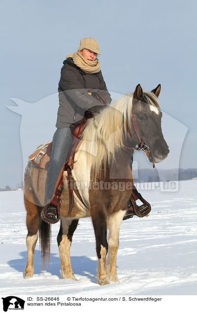 Frau reitet Pintaloosa / woman rides Pintaloosa / SS-26646