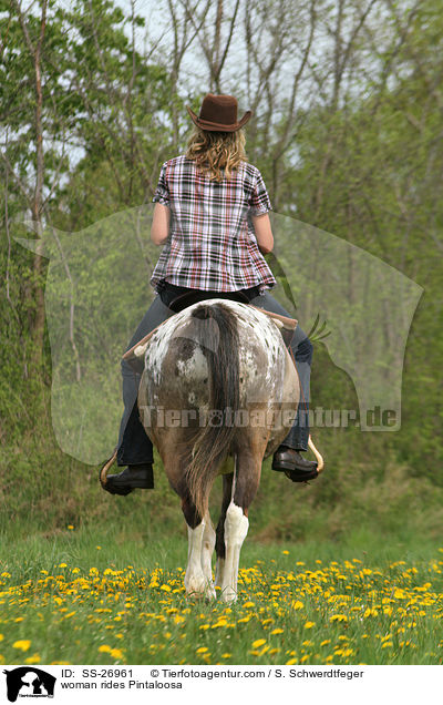 Frau reitet Pintaloosa / woman rides Pintaloosa / SS-26961