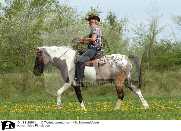 Frau reitet Pintaloosa / woman rides Pintaloosa / SS-26964