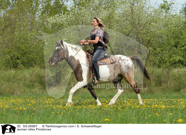 Frau reitet Pintaloosa / woman rides Pintaloosa / SS-26967