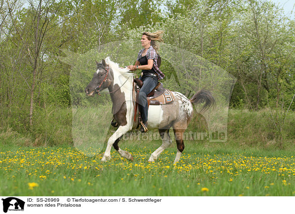 Frau reitet Pintaloosa / woman rides Pintaloosa / SS-26969