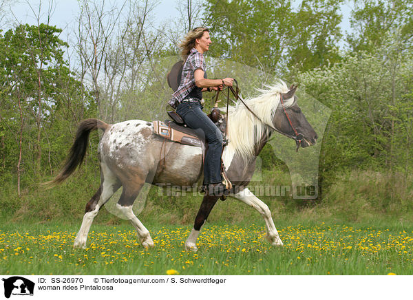 Frau reitet Pintaloosa / woman rides Pintaloosa / SS-26970