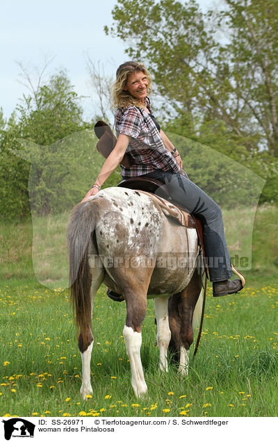 Frau reitet Pintaloosa / woman rides Pintaloosa / SS-26971