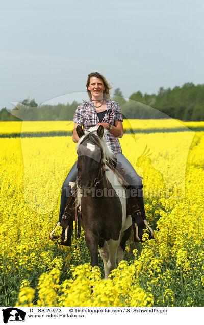 woman rides Pintaloosa / SS-26973