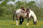 woman and Pintaloosa