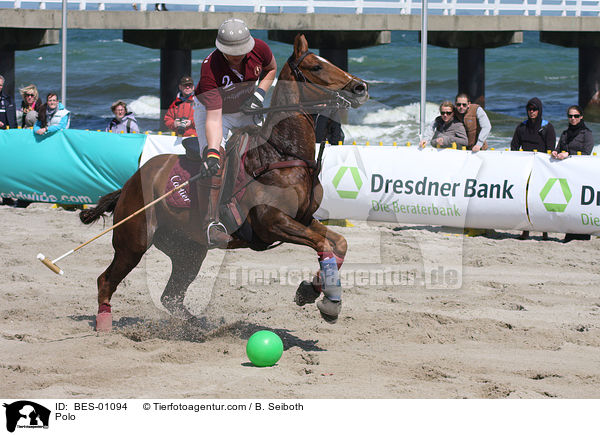 Polo / Polo / BES-01094