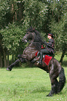 woman with friesian horse at show