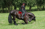 woman with friesian horse at show