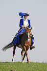 Showriding