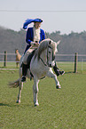 Showriding