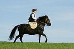 show riding