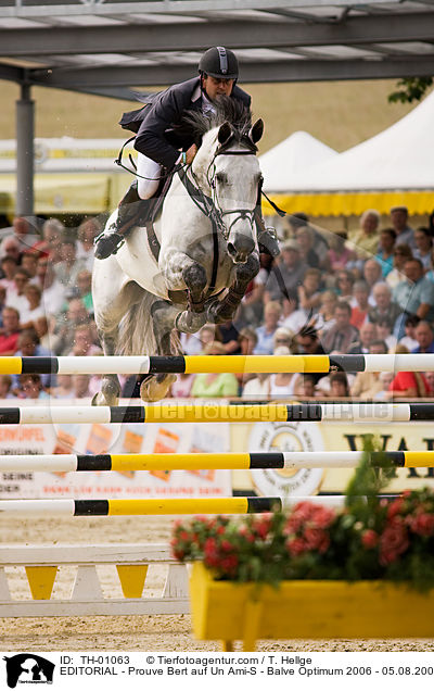 REDAKTIONELL - Prouve Bert auf Un Ami-S - Balve Optimum 2006 - 05.08.2006 / EDITORIAL - Prouve Bert auf Un Ami-S - Balve Optimum 2006 - 05.08.2006 / TH-01063