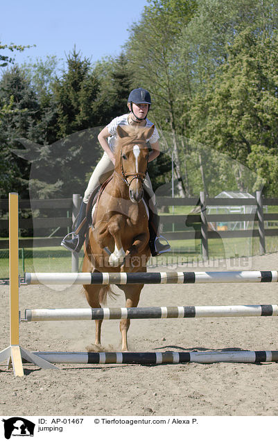 jumping / AP-01467