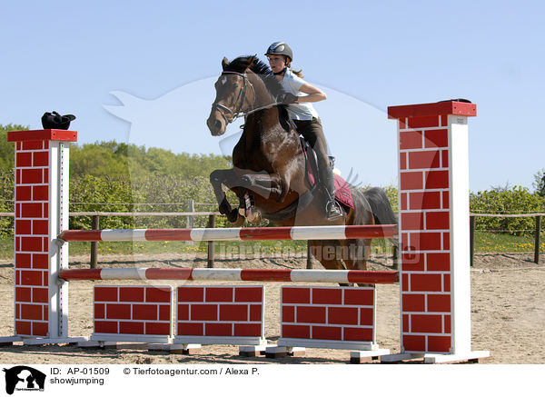 Springreiten / showjumping / AP-01509
