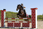 showjumping