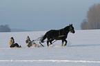 tobogganing