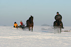 tobogganing