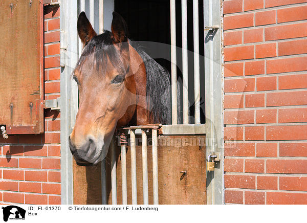 Auenbox / Box / FL-01370