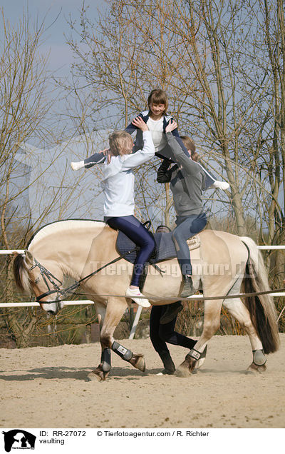 vaulting / RR-27072