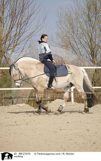 vaulting / RR-27075