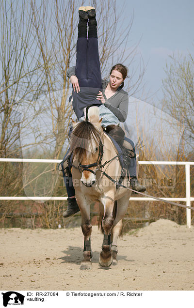 Voltigieren auf Fjordpferd / vaulting / RR-27084