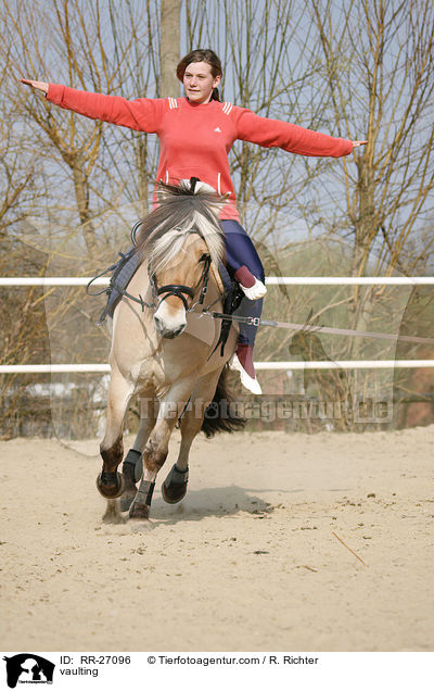 vaulting / RR-27096