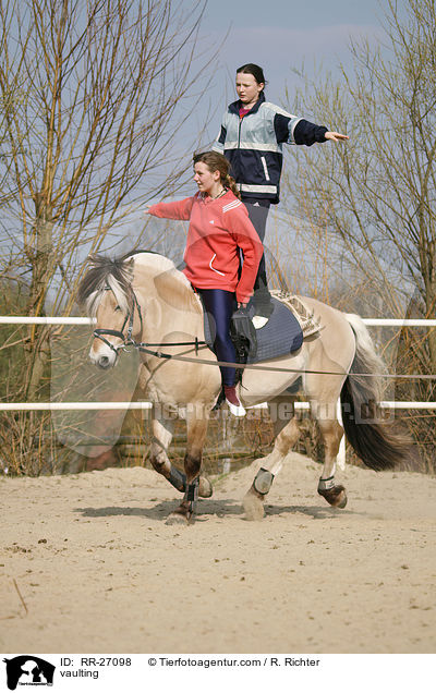 vaulting / RR-27098