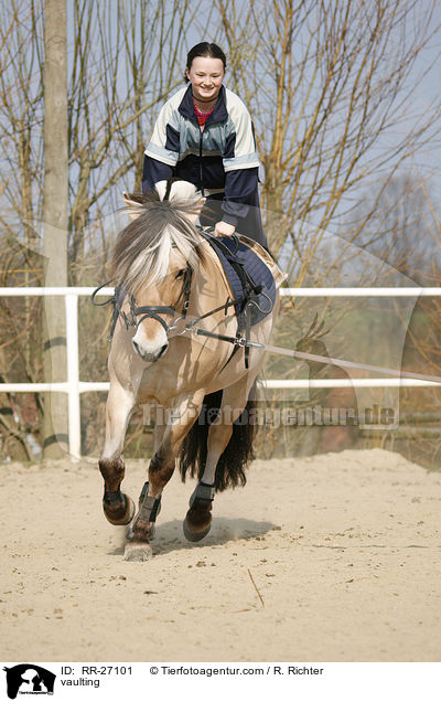 vaulting / RR-27101