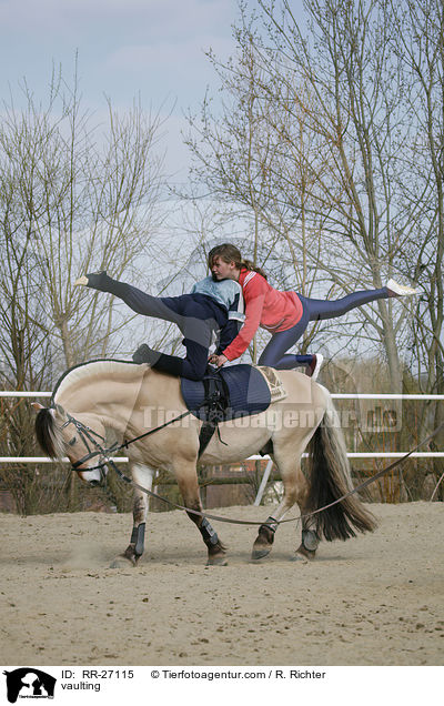 Voltigieren auf Fjordpferd / vaulting / RR-27115