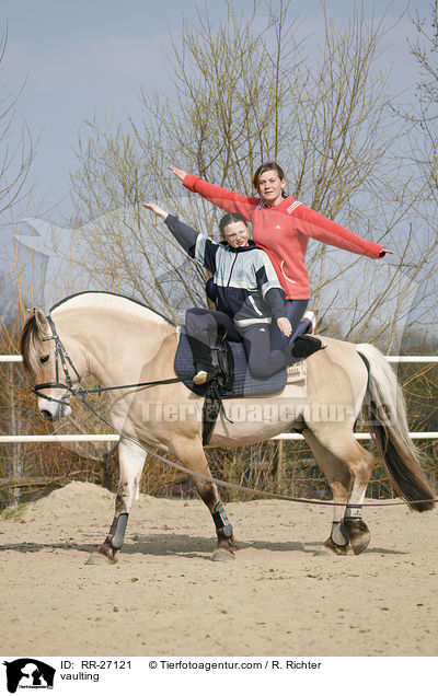 vaulting / RR-27121