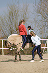 vaulting