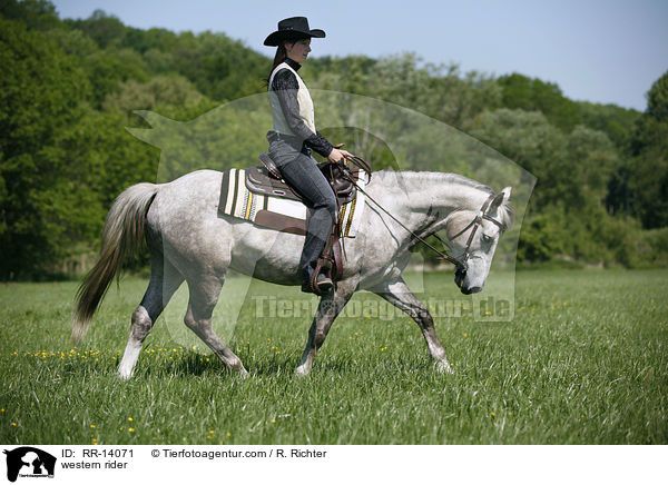 Westernreiter / western rider / RR-14071