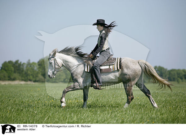 Westernreiter / western rider / RR-14078
