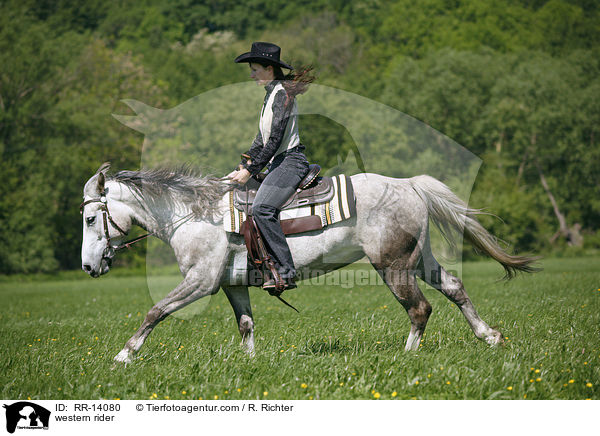 Westernreiter / western rider / RR-14080