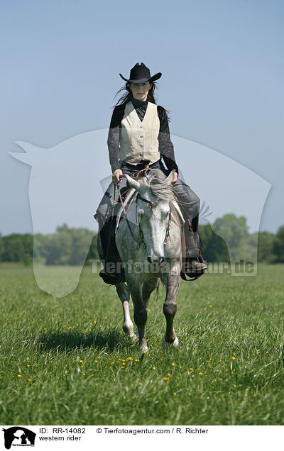 Westernreiter / western rider / RR-14082