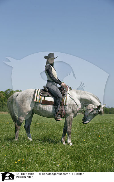 Westernreiter / western rider / RR-14086
