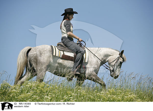 Westernreiter / western rider / RR-14089
