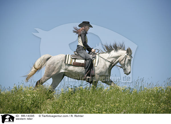 Westernreiter / western rider / RR-14095