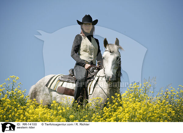 Westernreiter / western rider / RR-14100