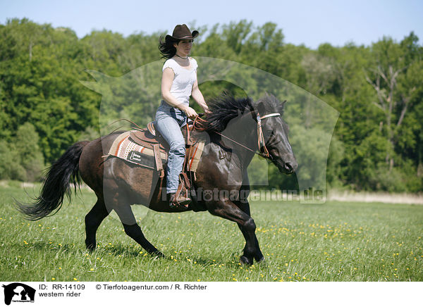 Westernreiter / western rider / RR-14109