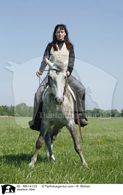 western rider / RR-14125