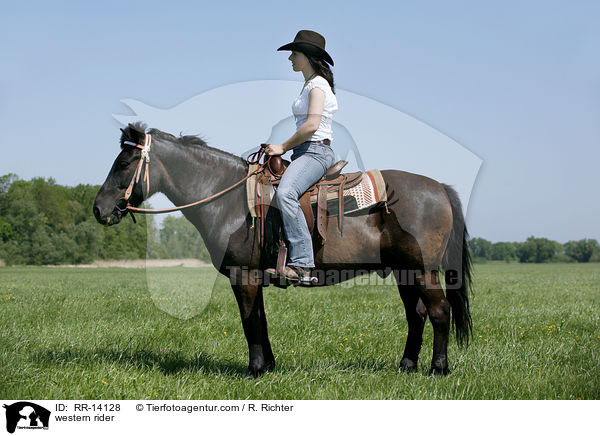 Westernreiter / western rider / RR-14128